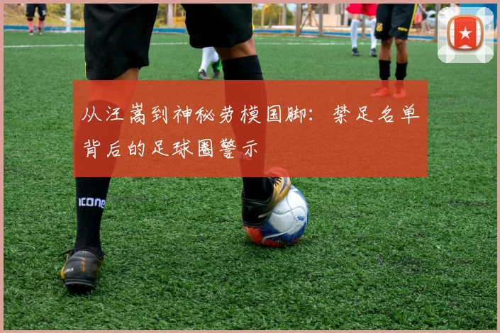 从汪嵩到神秘劳模国脚：禁足名单背后的足球圈警示