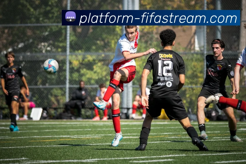 App Interface Preview